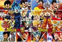 Poster DBZ Goku/Vegeta All Form