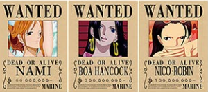 Poster One Piece Wanted Nami Boa Robin